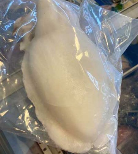 Fiskar4